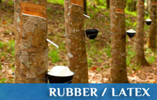 Rubber/Latex