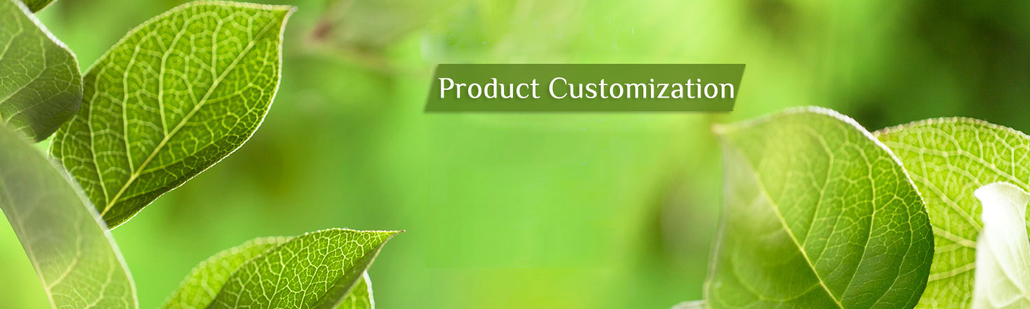 Product Customization